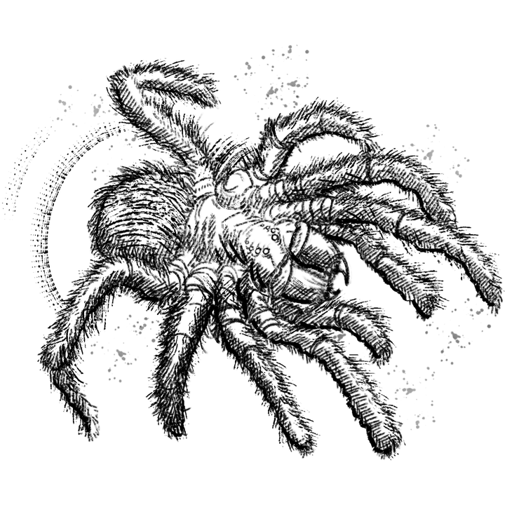 Canopy_Spider_Mother_v004