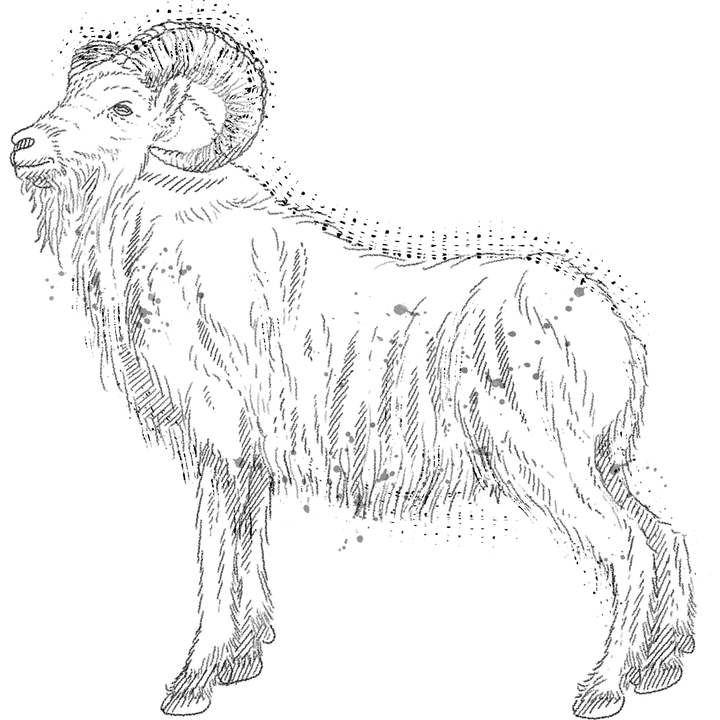 Highland_Kvetch_v005